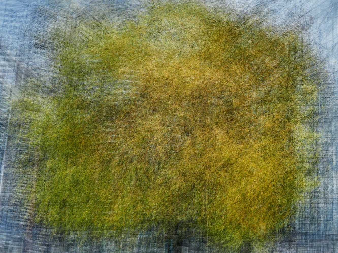 A photograph titled 