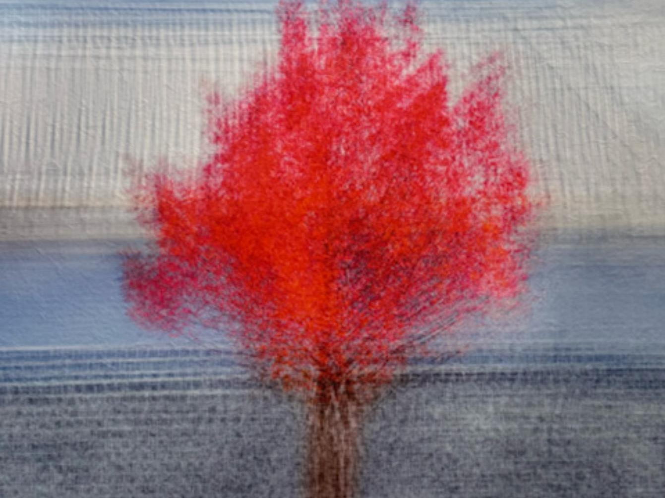 A photograph titled 