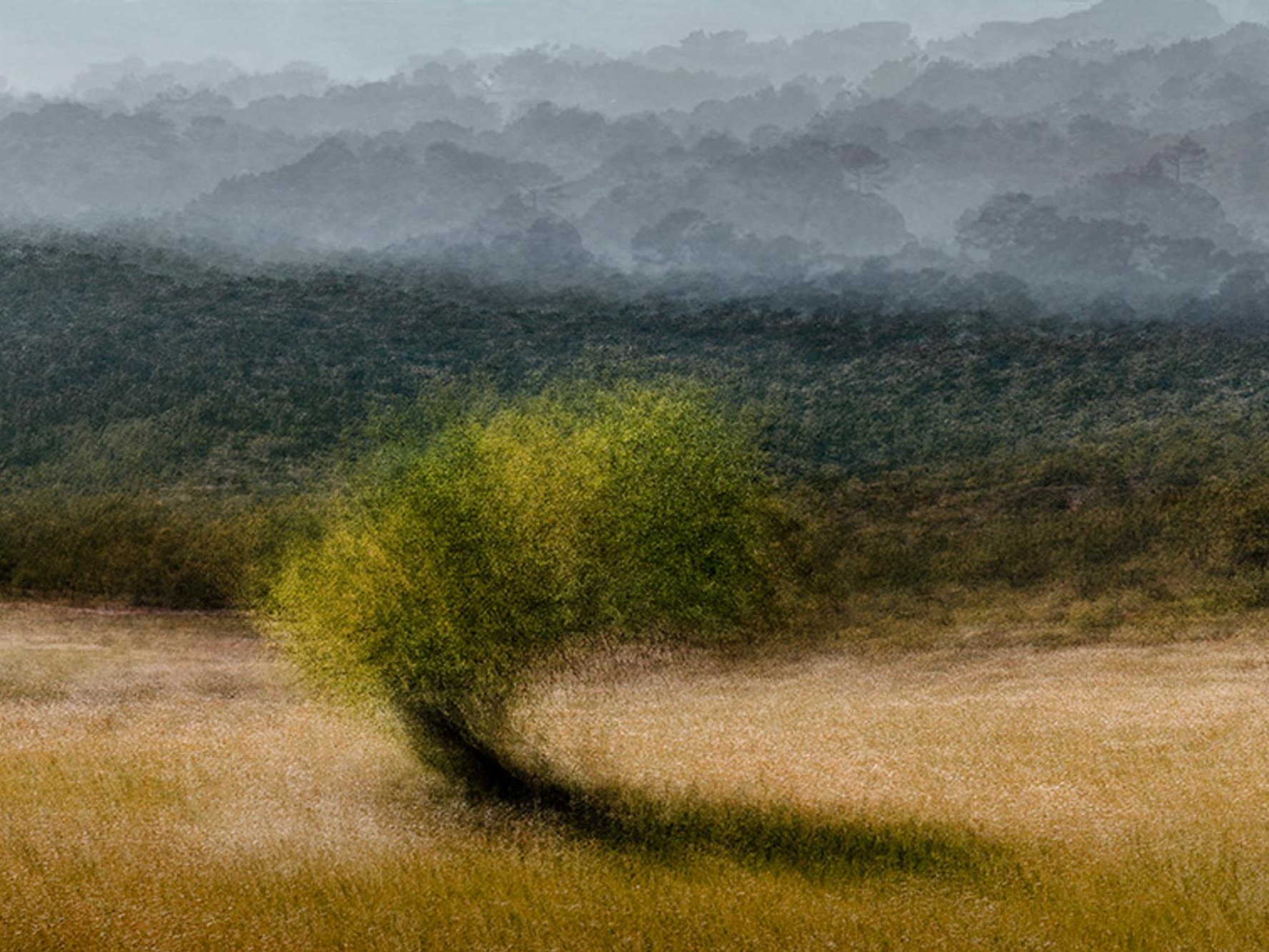 A photograph titled 