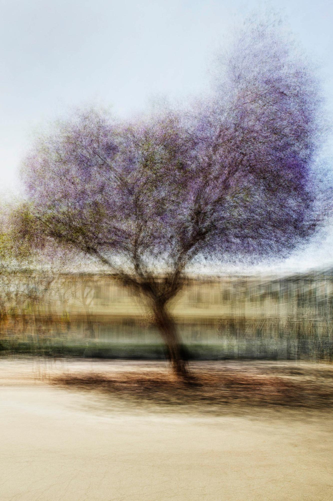 A photograph titled