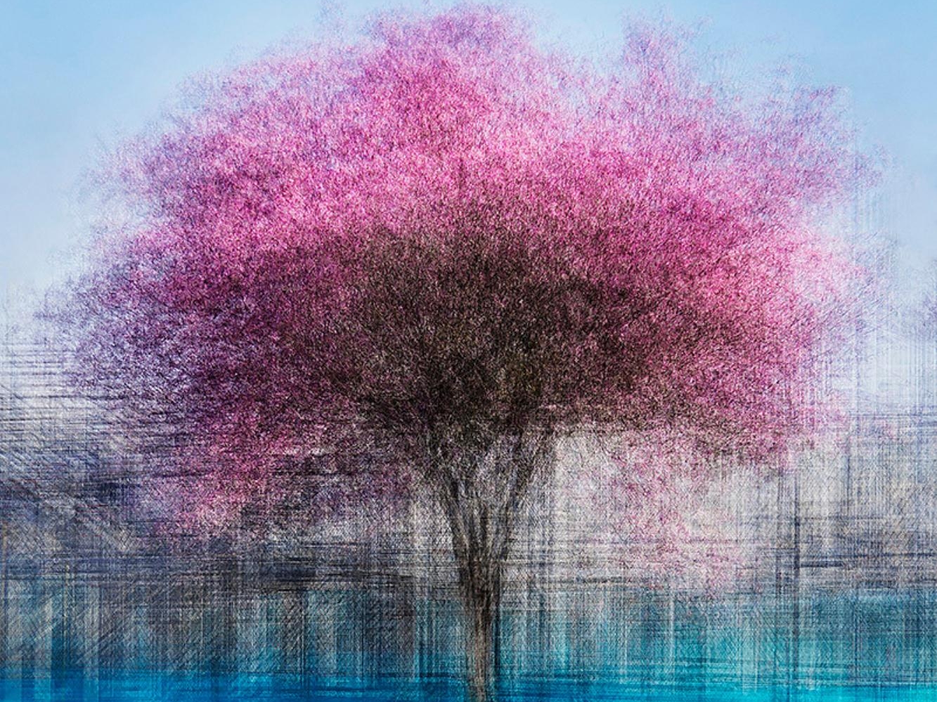 A photograph titled 