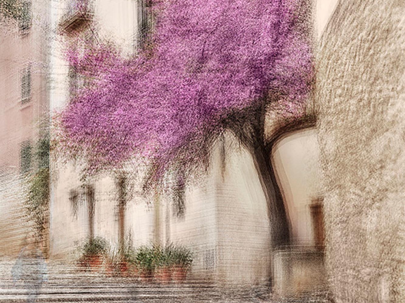 A photograph titled 