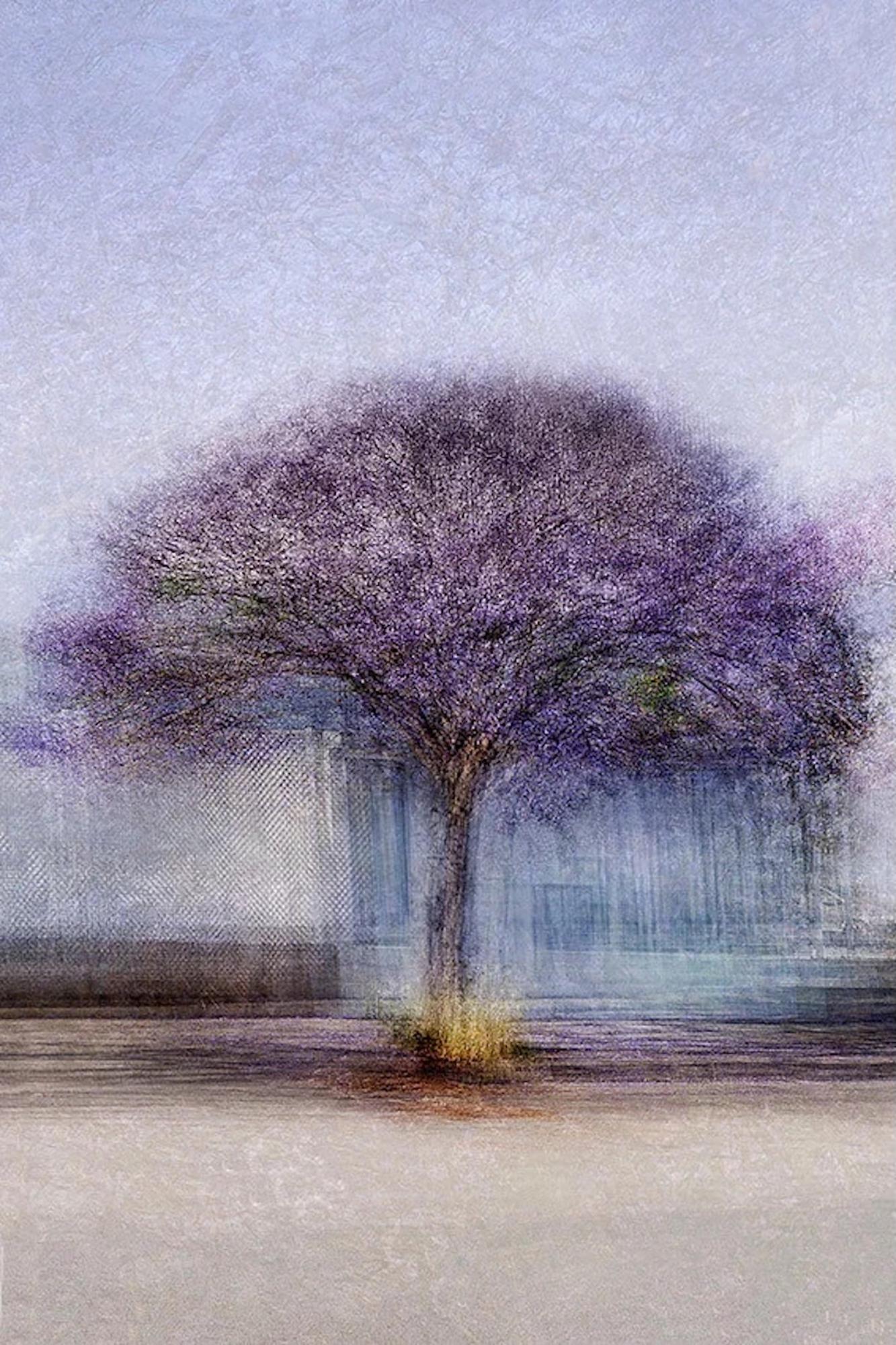 A photograph titled