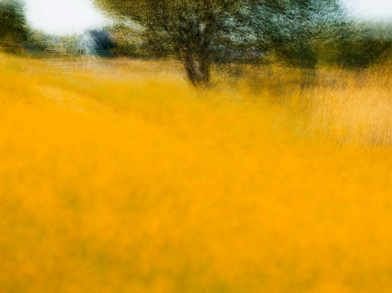 A photograph titled 