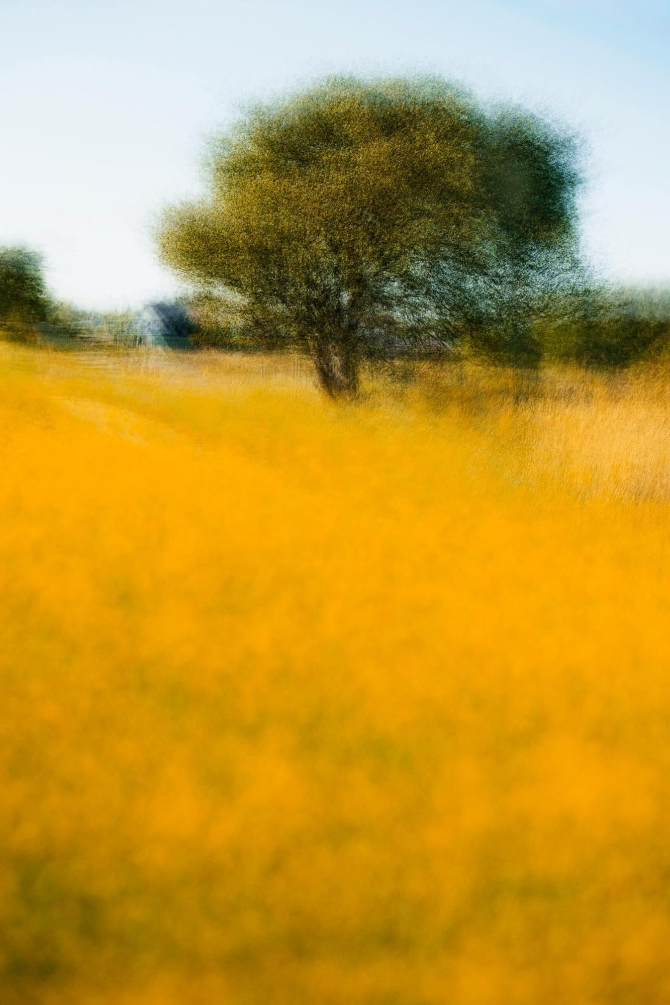 A photograph titled