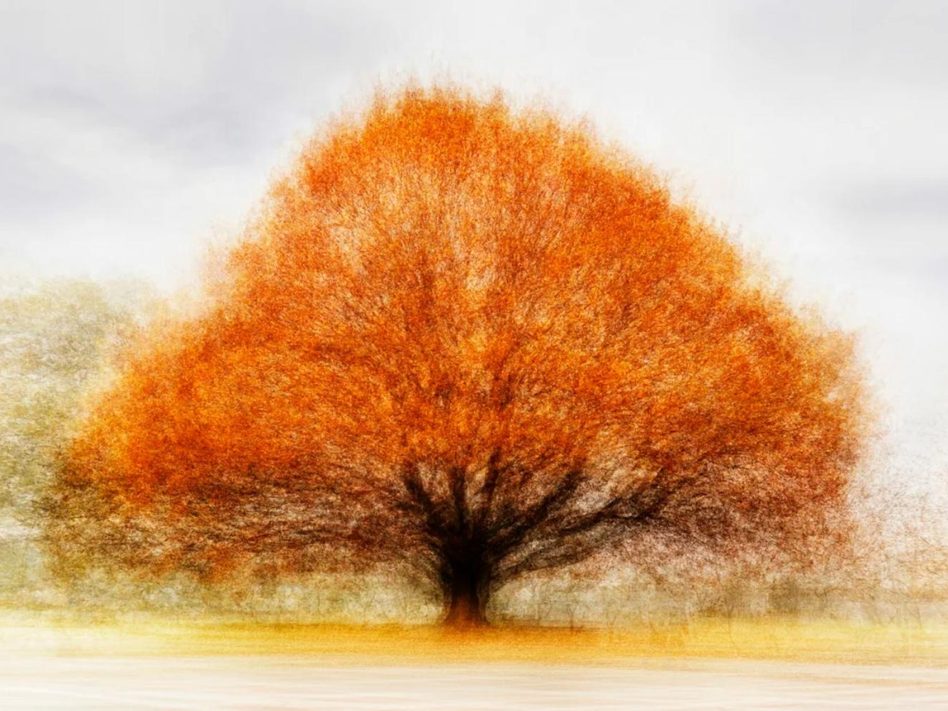 A photograph titled 