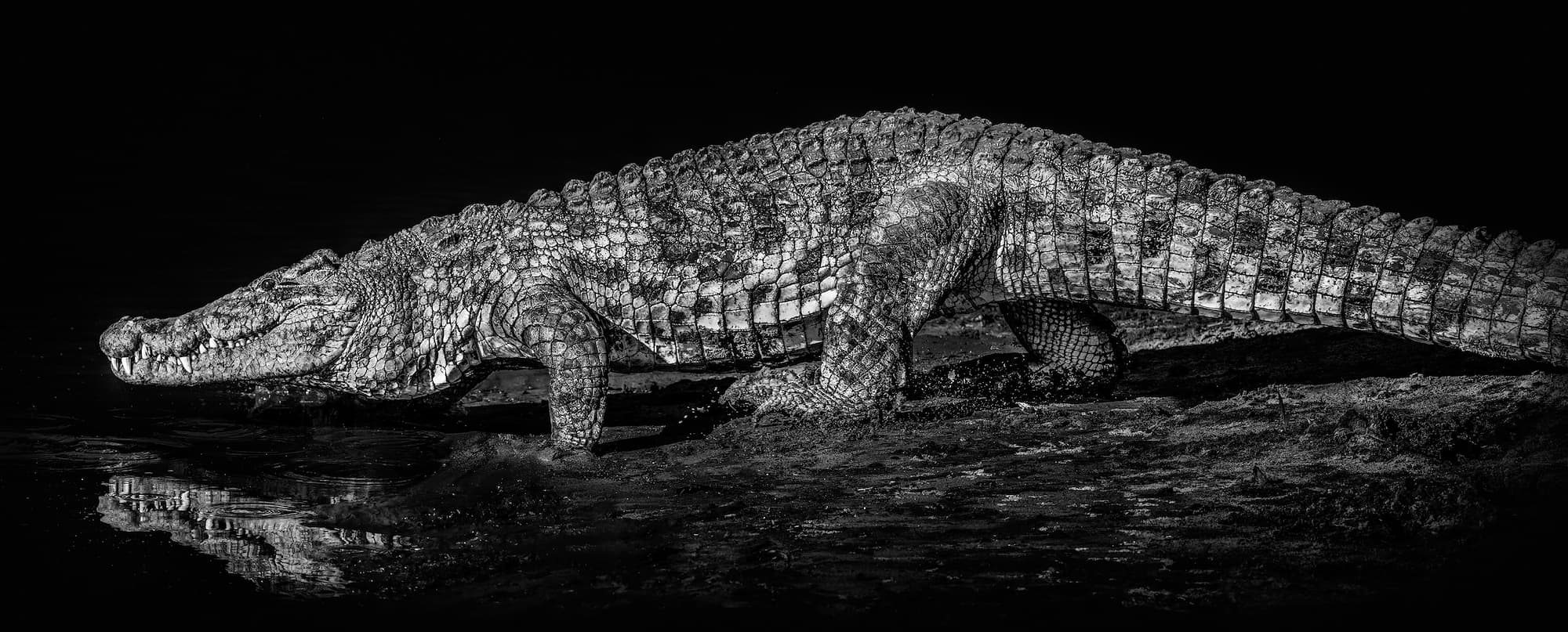 "10,000 BC" by David Yarrow, The Serengeti, Tanzania, 2019. Black and white photograph.