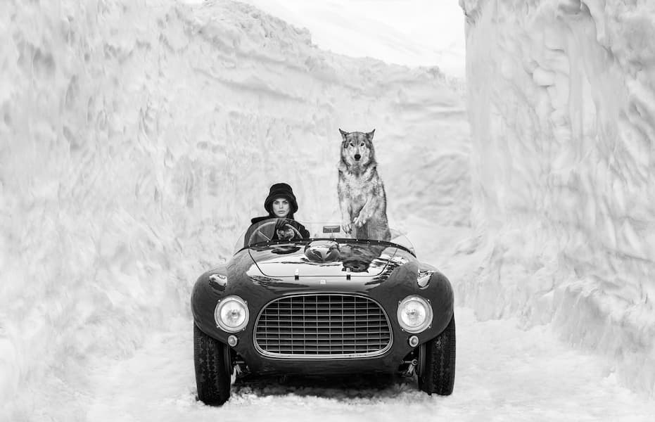 1953 (B&W)