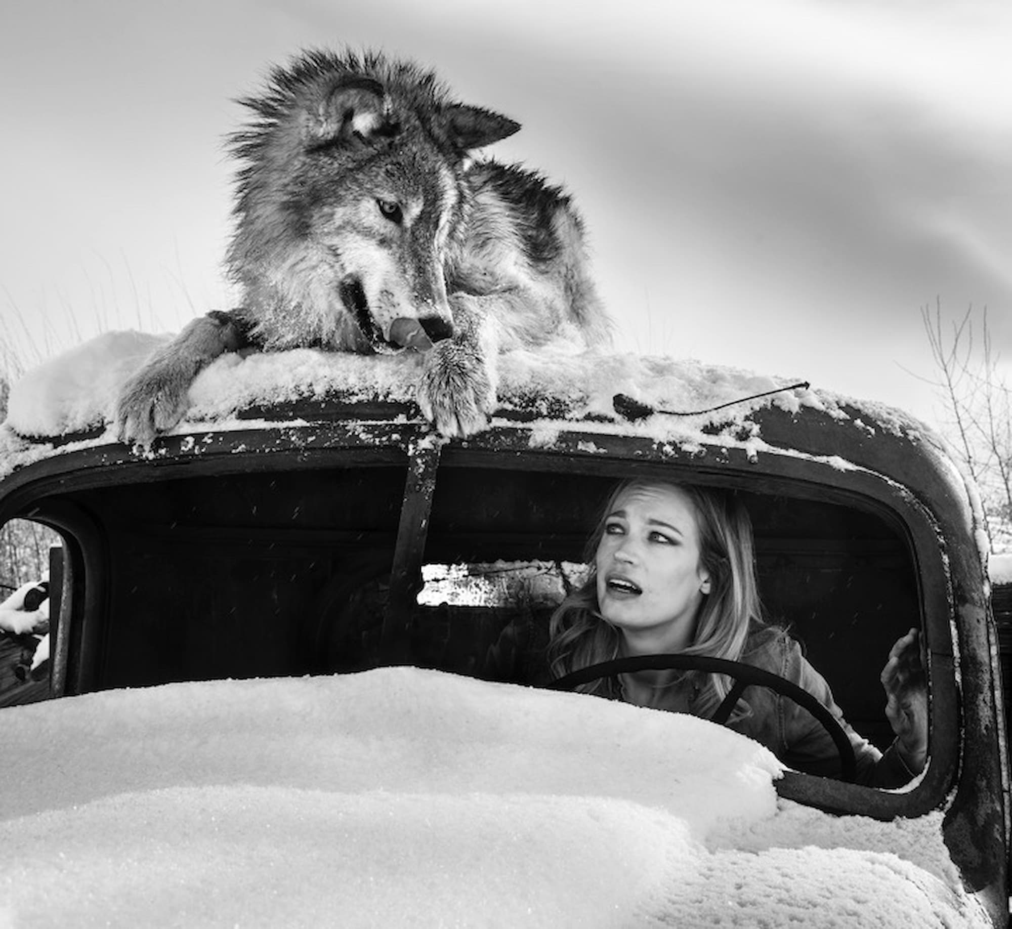 "A Street Car Named Desire III" by David Yarrow, Nevada City, Montana, 2018. Black and white photograph.