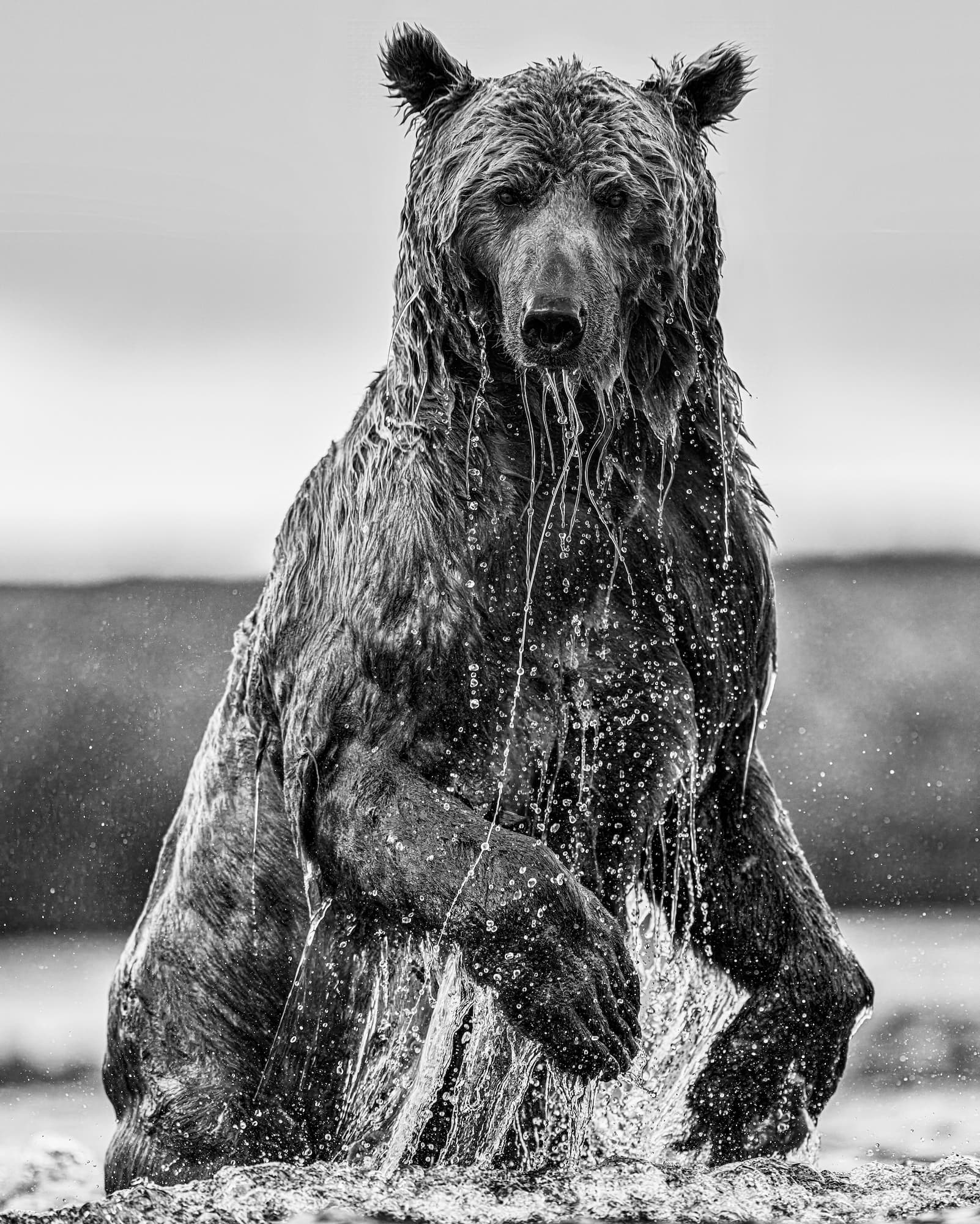 "Backcountry" by David Yarrow, Funnel Creek, Alaska, 2025. Black and white photograph.