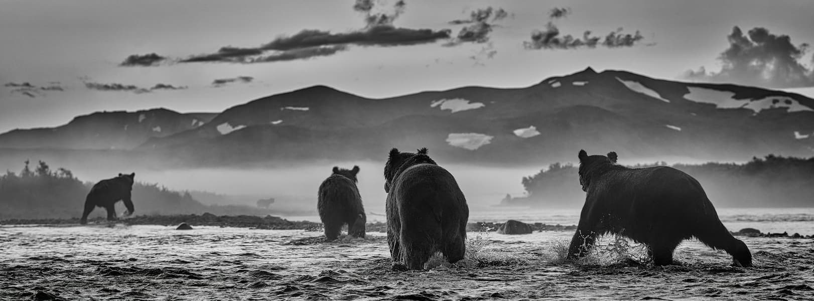 Bear Market