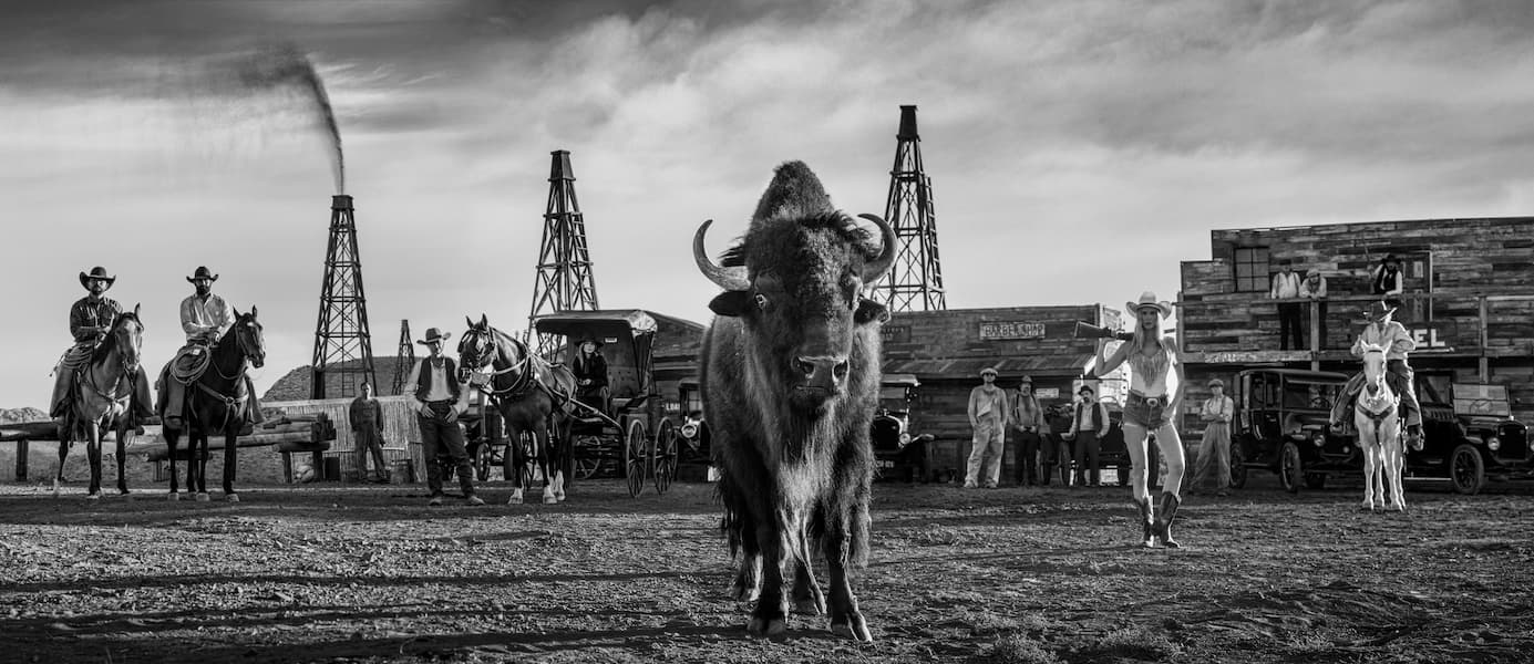 Bison, Oil and Gas (B&W)