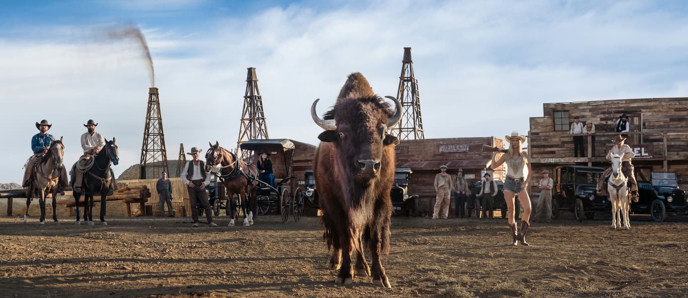 Bison, Oil and Gas (Colour)