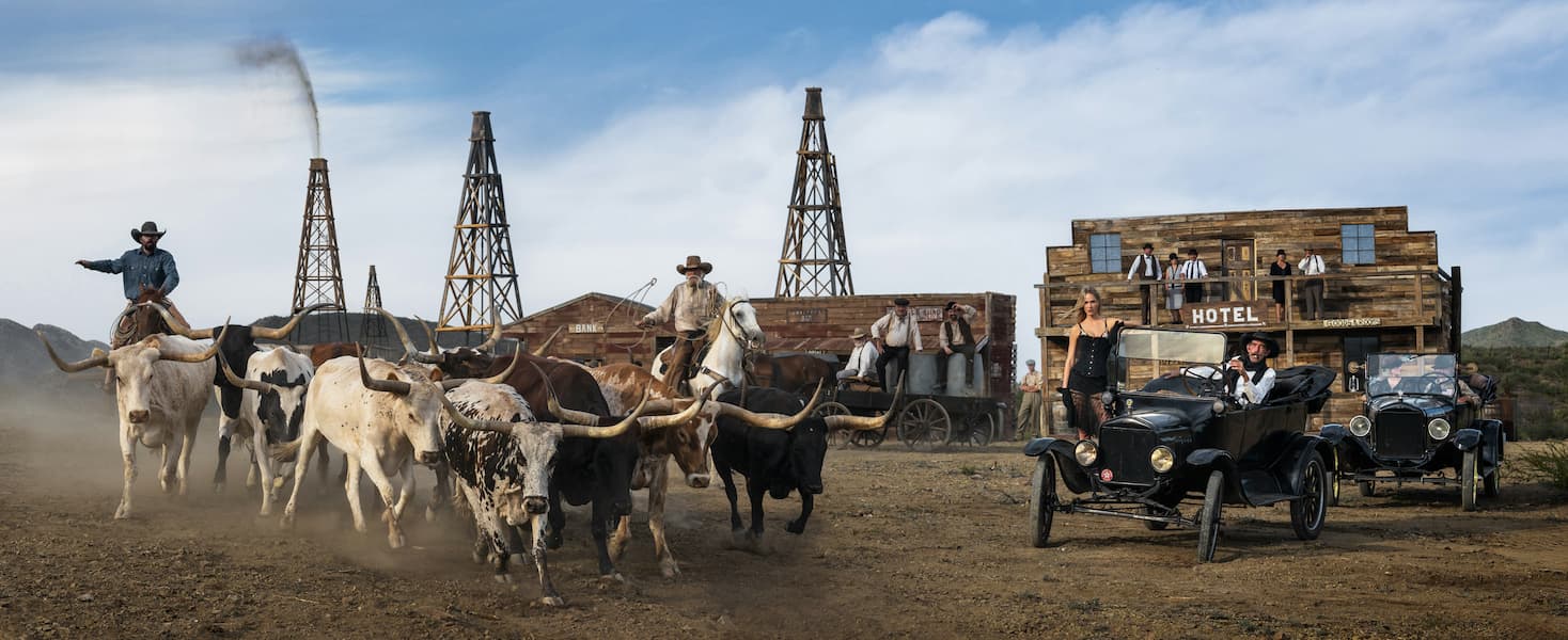 Cattle and Oil (Colour)