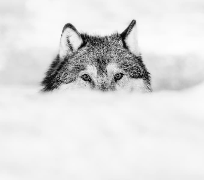 Encroachment