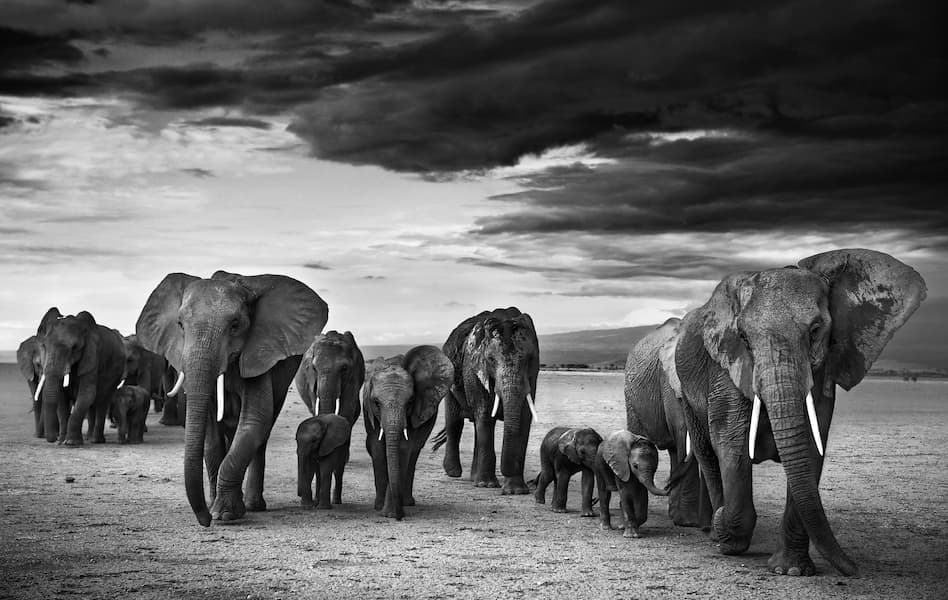 Family