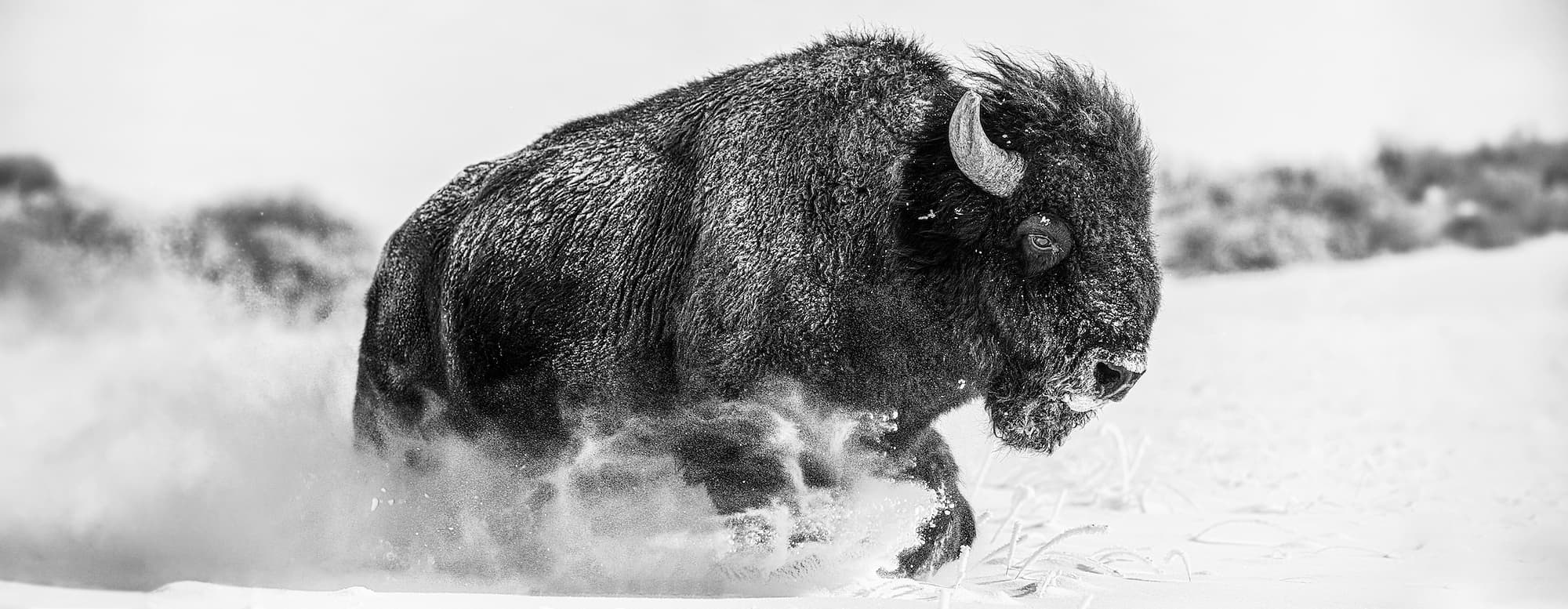 "Frozen Mountain" by David Yarrow, Spanish Creek, Montana, 2024. Black and white photograph.