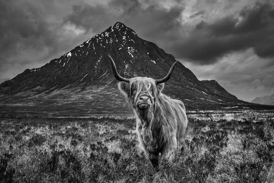 Glencoe