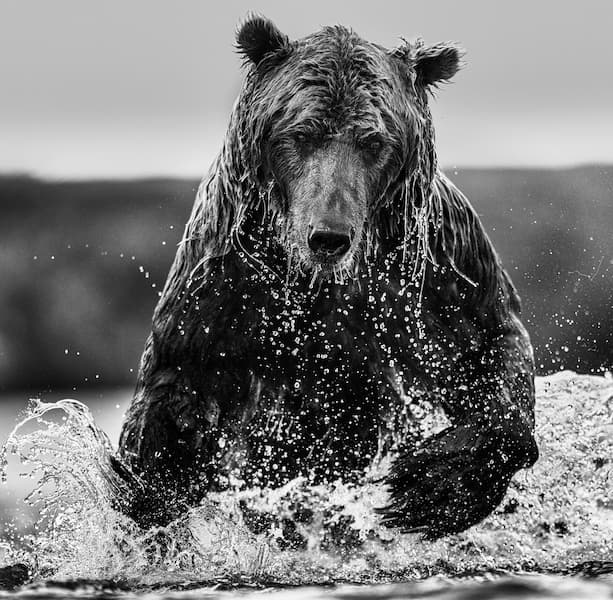 Gone Fishing (B&W)