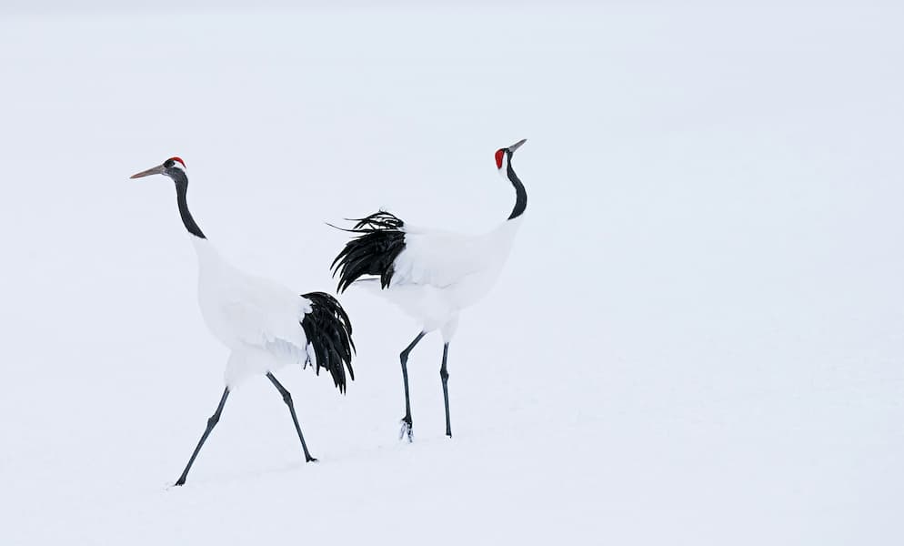 Hokkaido