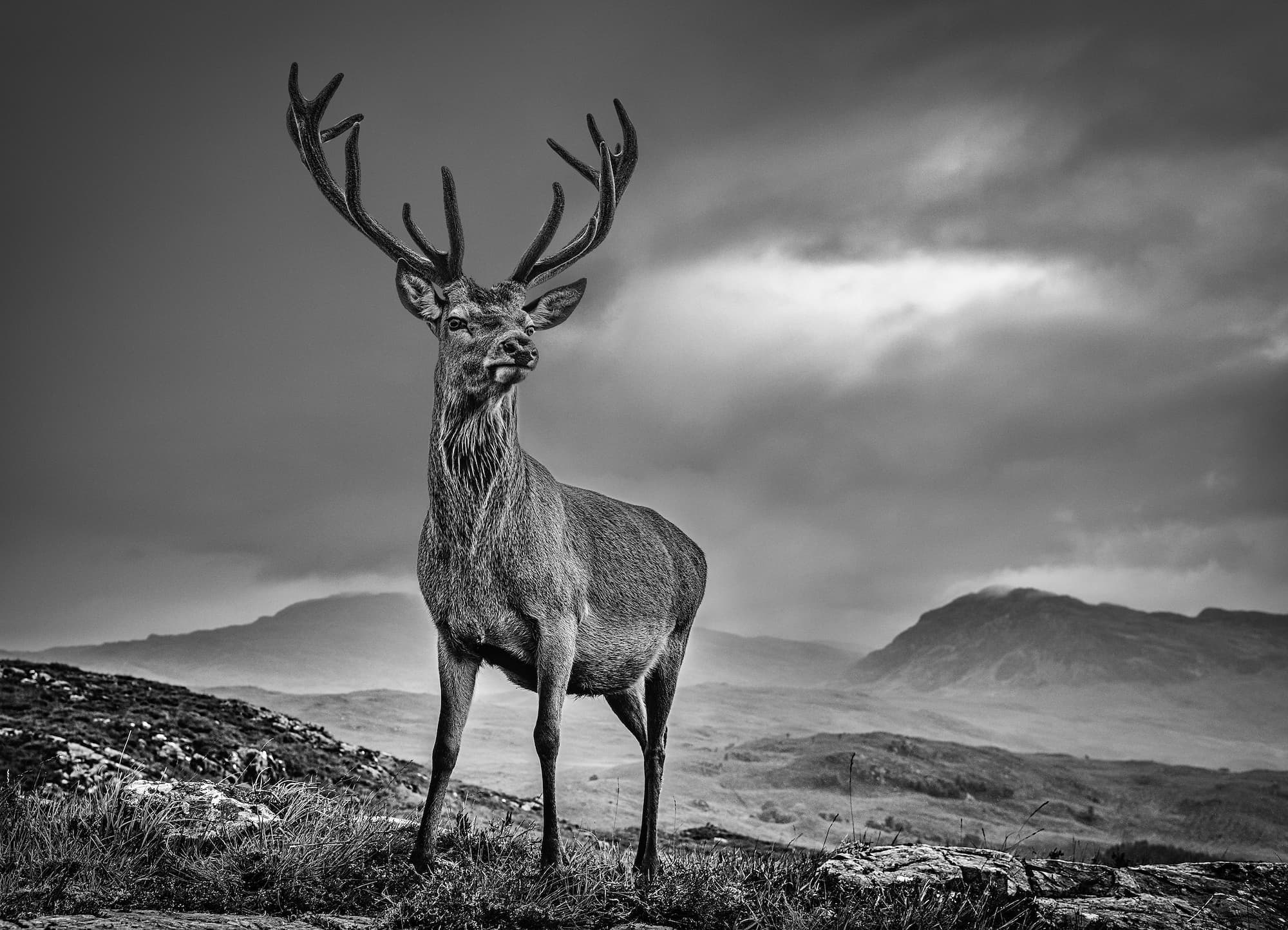"Homeland" by David Yarrow, Highlands, Scotland, 2020. Black and white photograph.