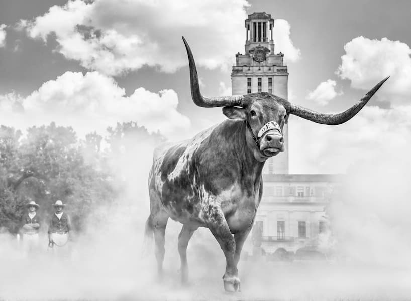 Hook ‘Em Horns (B&W)
