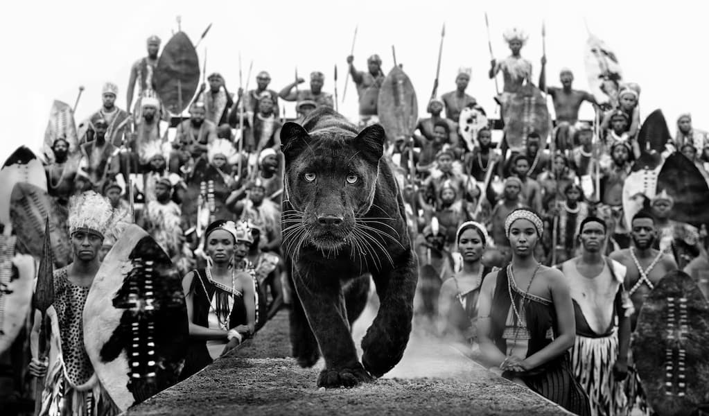 I am Black Panther