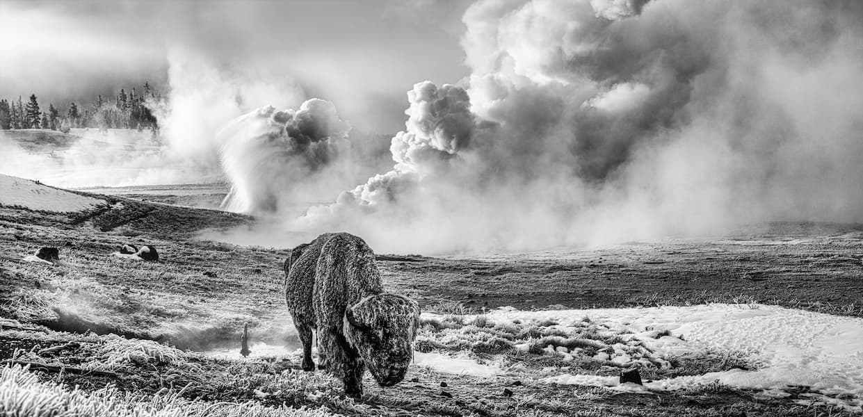 In the Beginning (B&W)