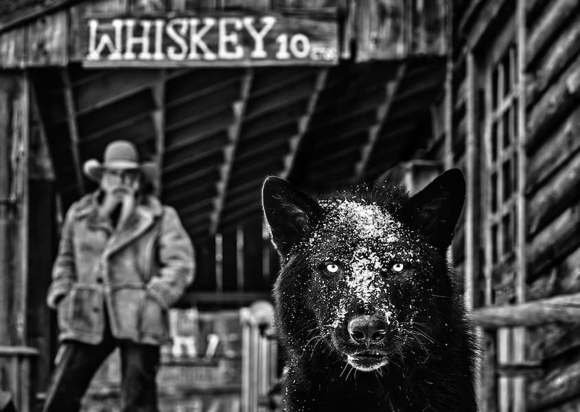 It was The Whiskey Talking
