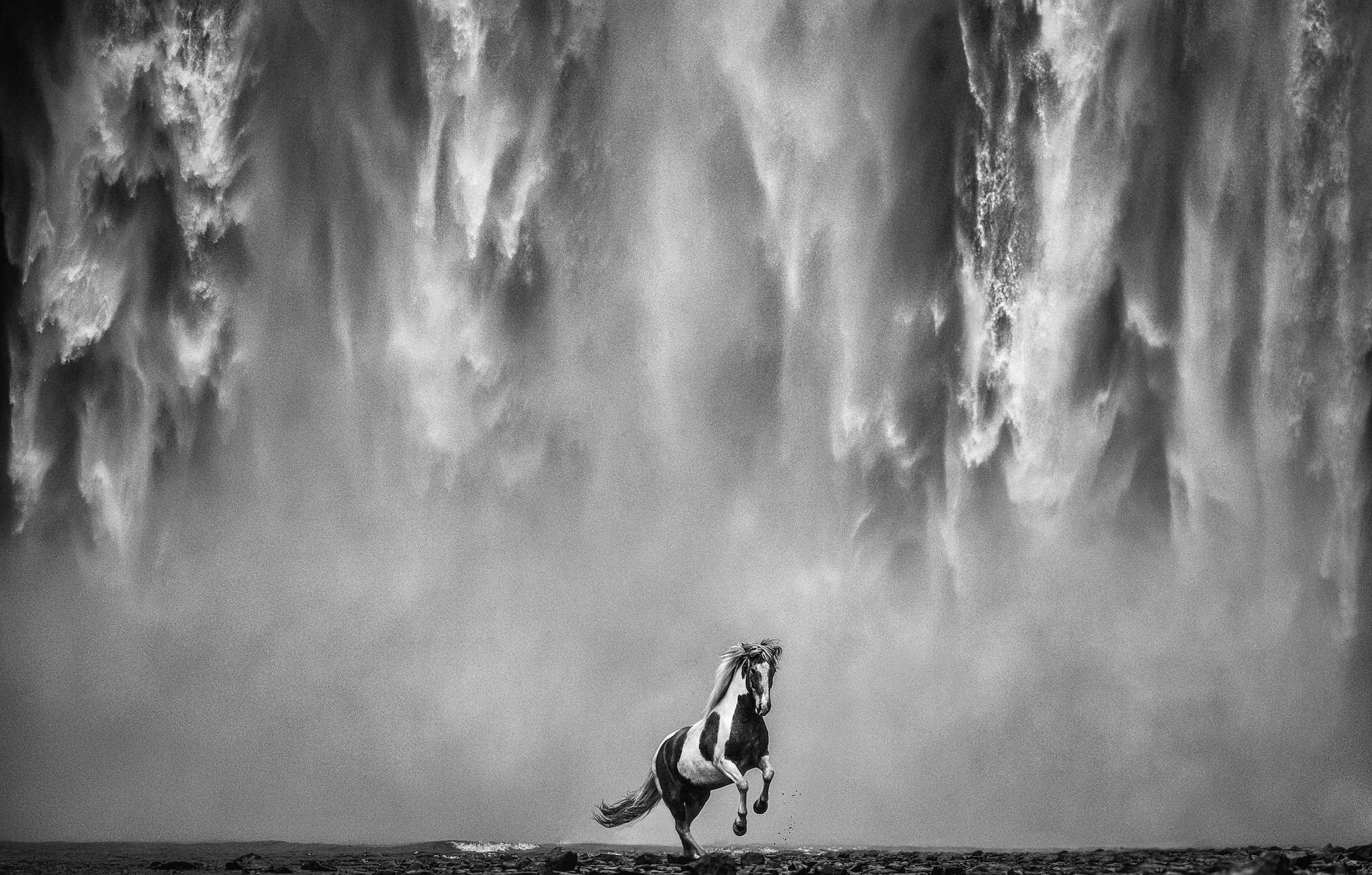 "Legends of the Fall" by David Yarrow, Skógafoss, Iceland, 2020. Black and white photograph.
