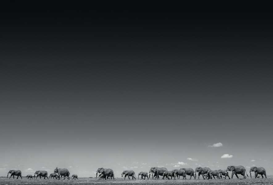 Life On Earth
