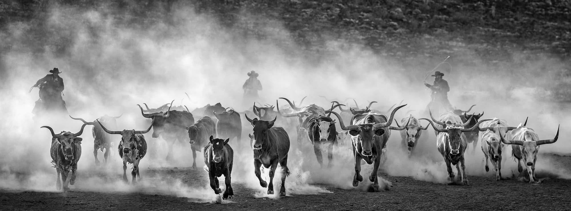 "Lonesome Dove" by David Yarrow, West Texas, Texas, 2024. Black and white photograph.