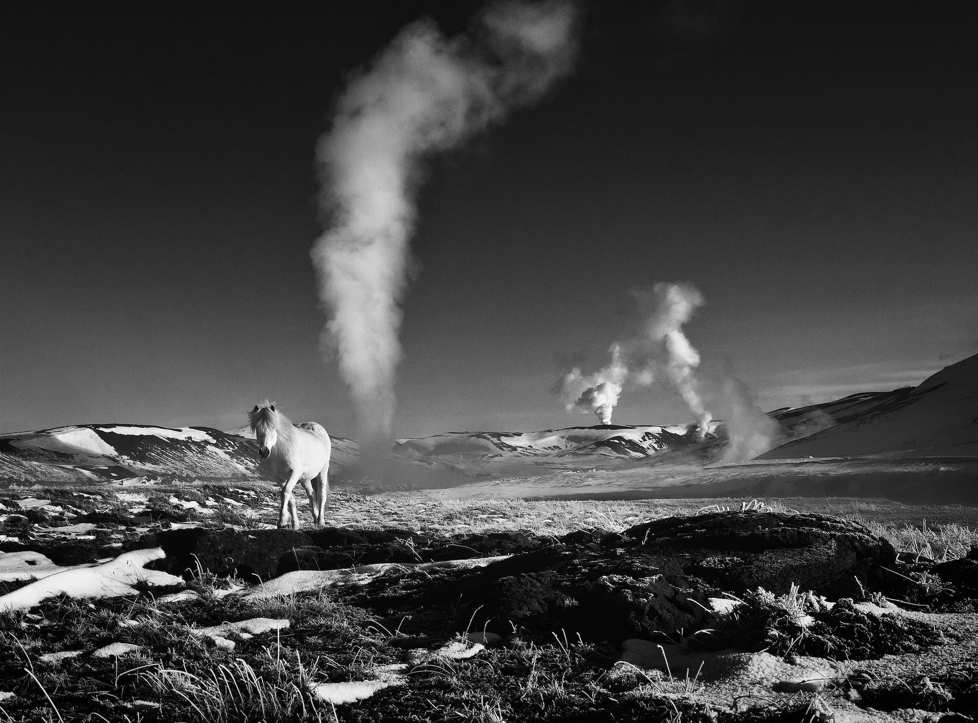 "Lord of the Rings" by David Yarrow. Black and white photograph.