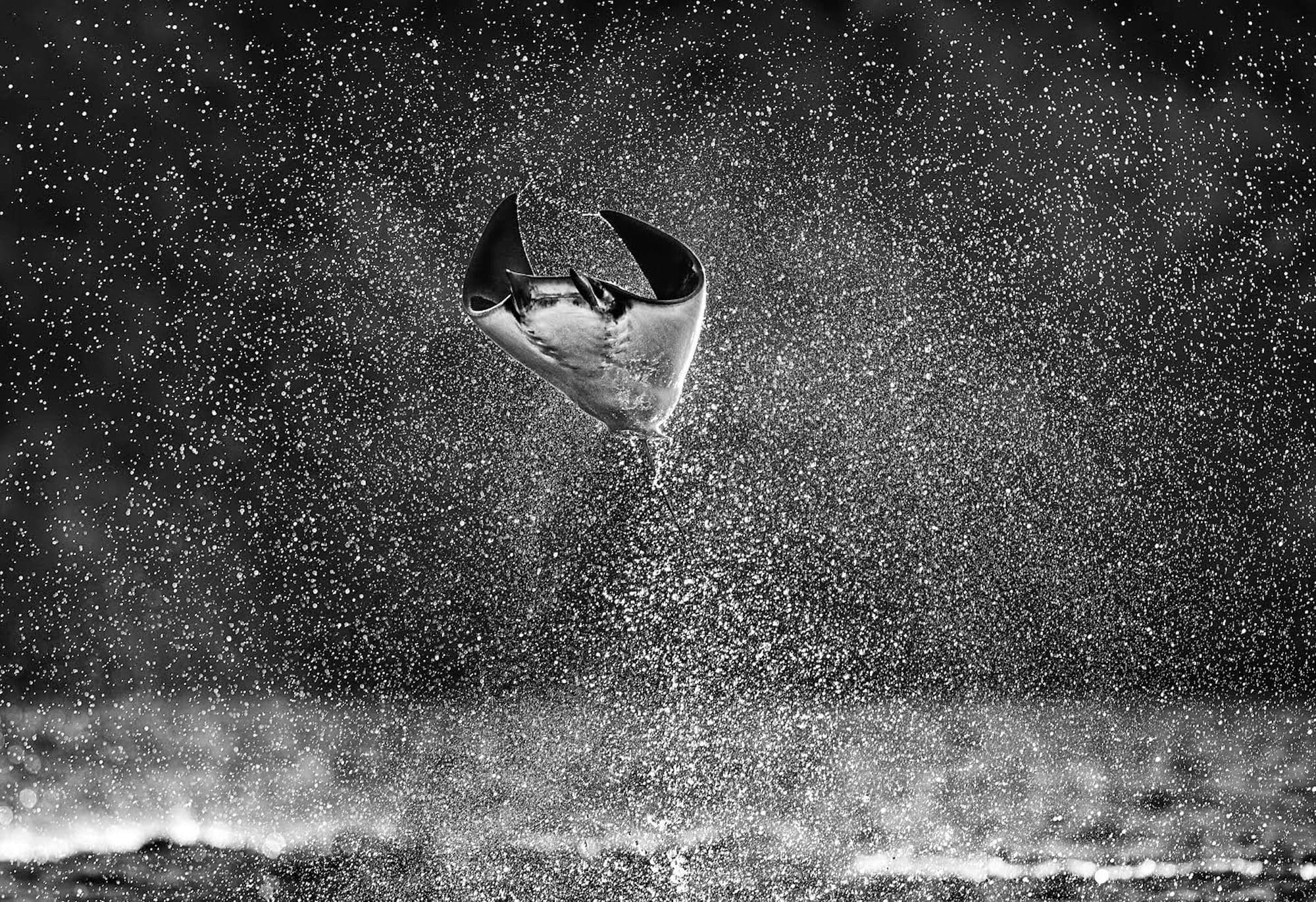 "Mars Attack!" by David Yarrow, La Paz, Mexico, 2021. Black and white photograph.