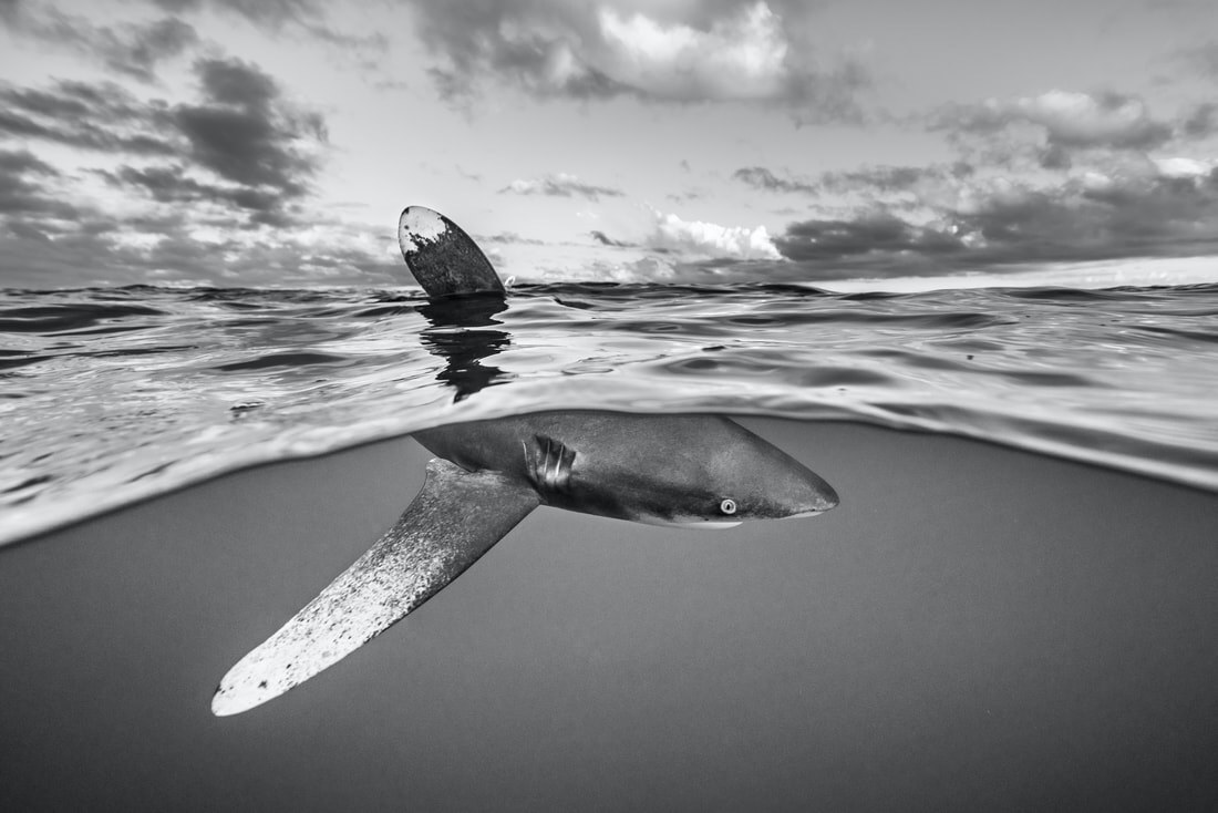 What Lies Beneath