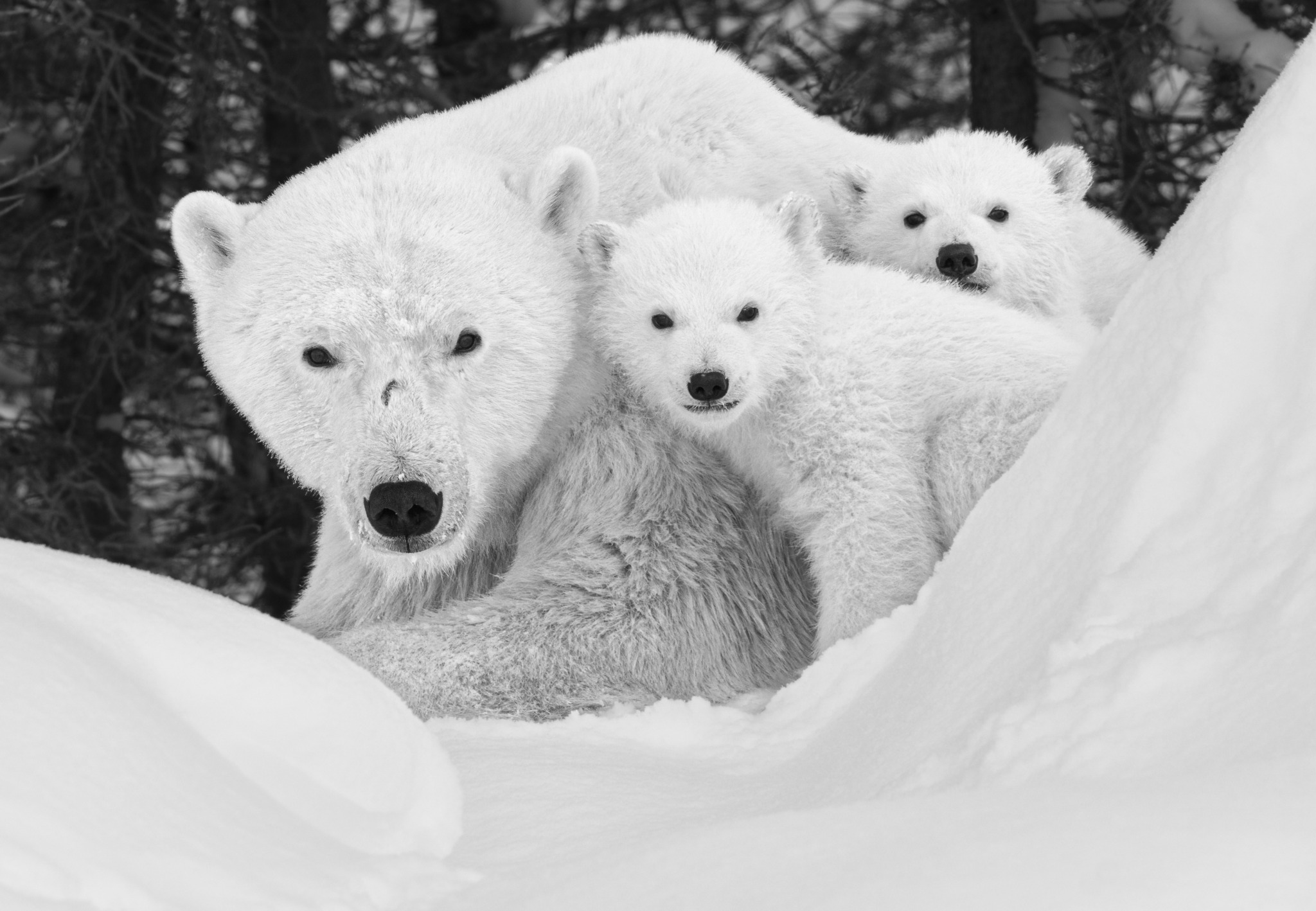 A Mother’s Universe