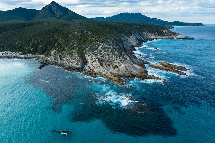 Coastal Odyssey: A Mother’s Journey