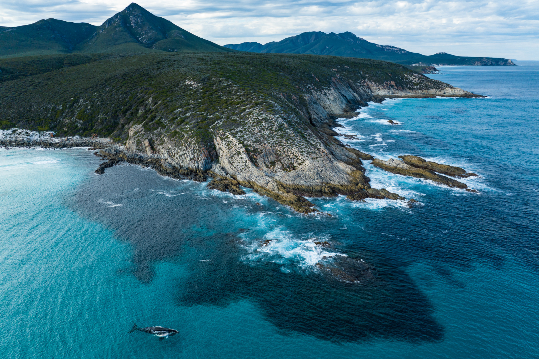 Coastal Odyssey: A Mother’s Journey