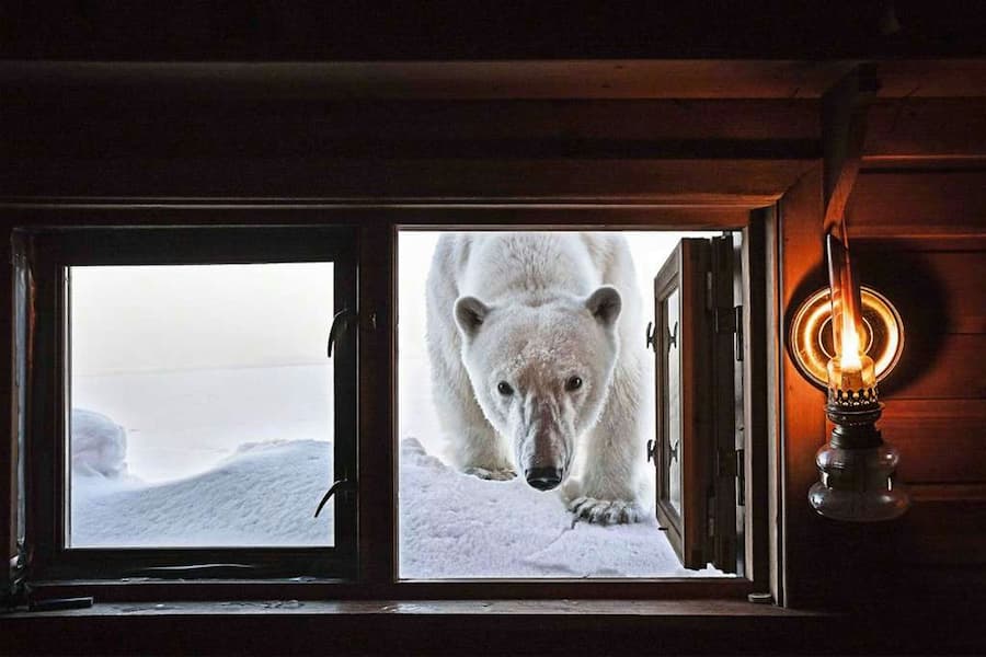 Face to Face