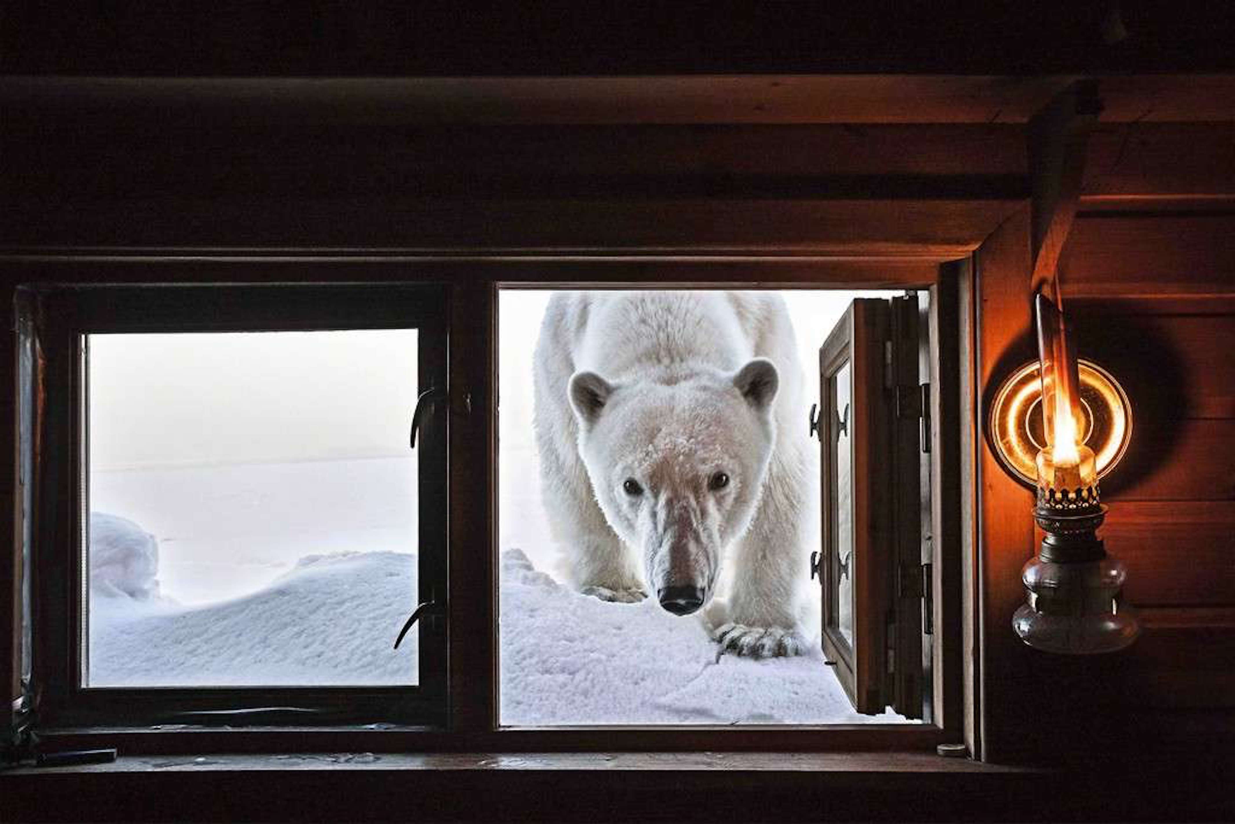 Face to Face