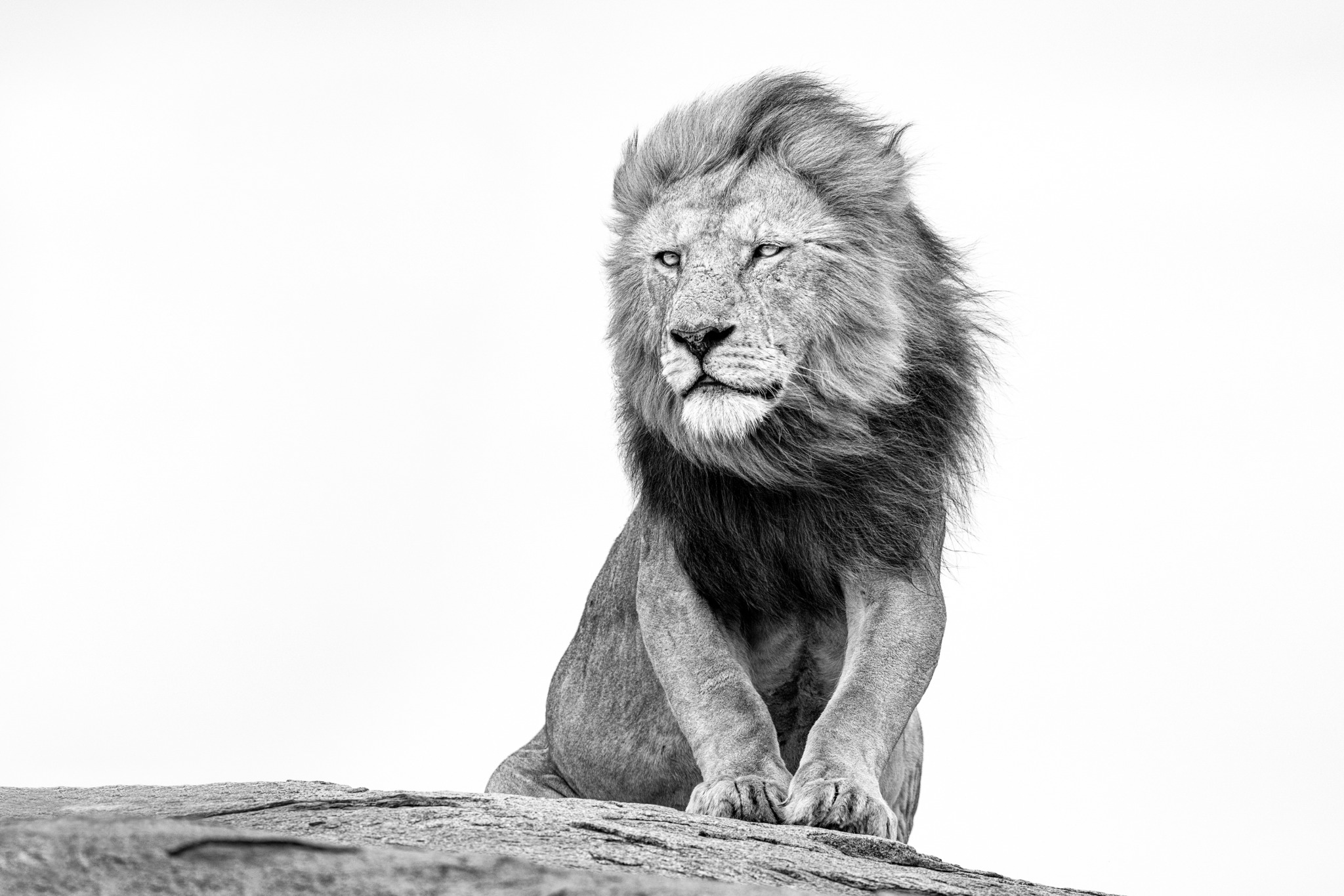 High King