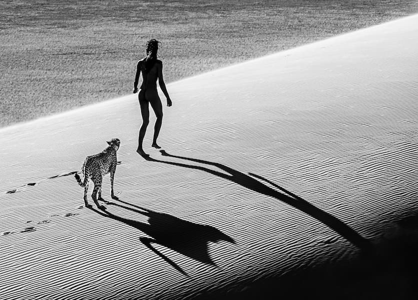 On the Catwalk