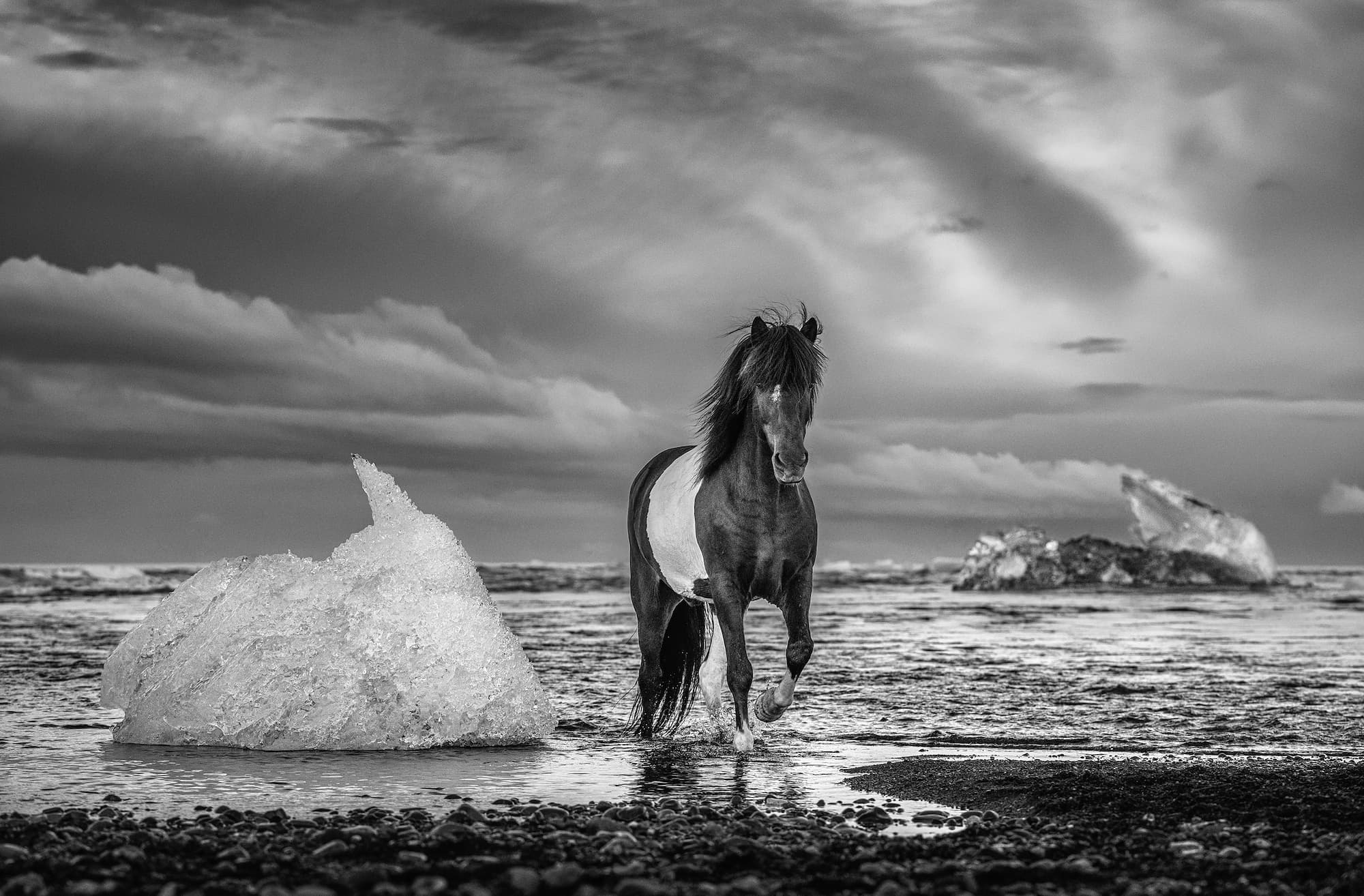 "On the Rocks" by David Yarrow, Iceland, 2020. Black and white photograph.