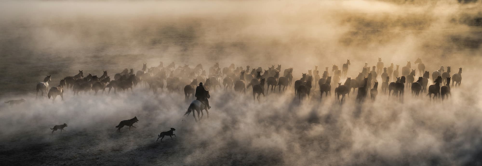 "One Hundred Horses" by David Yarrow, Kayseri, Turkey, 2026. Colour photograph.