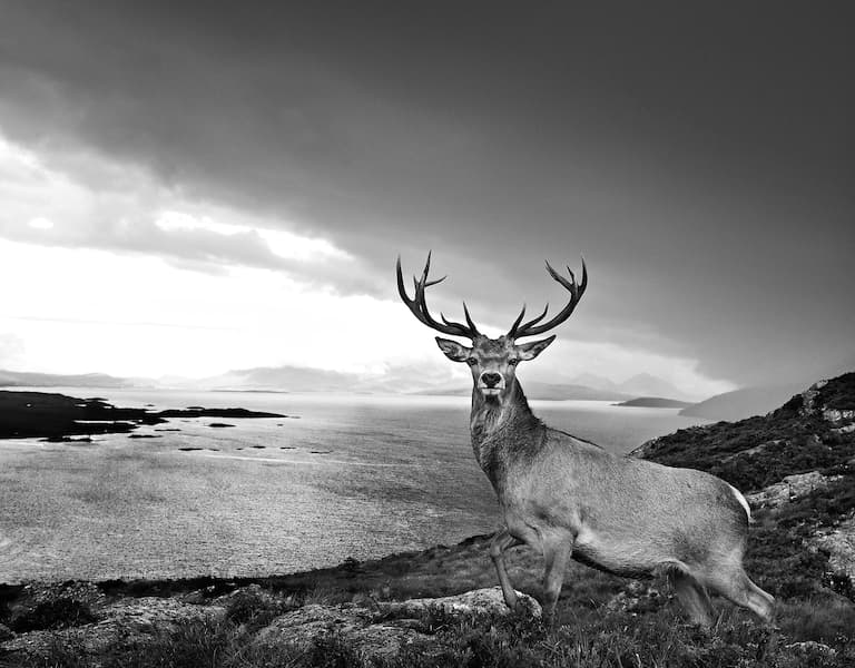 Over the Sea to Skye