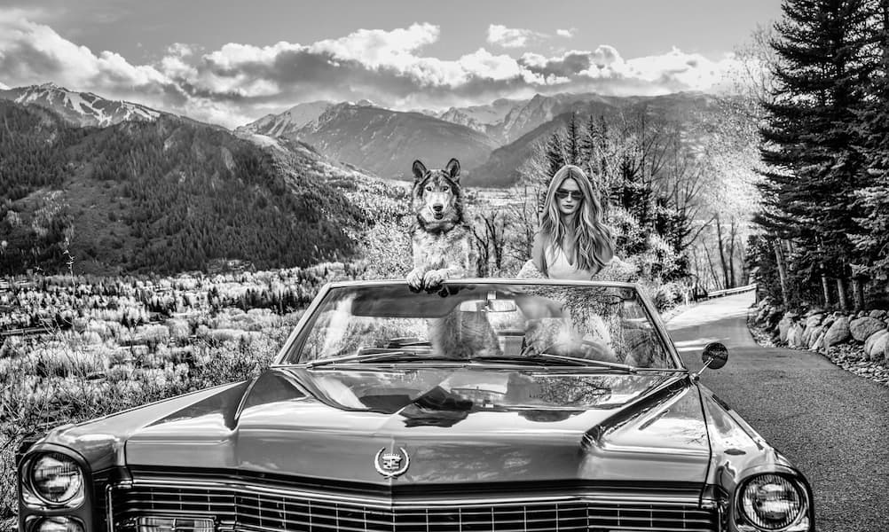 Spring in Aspen (B&W)