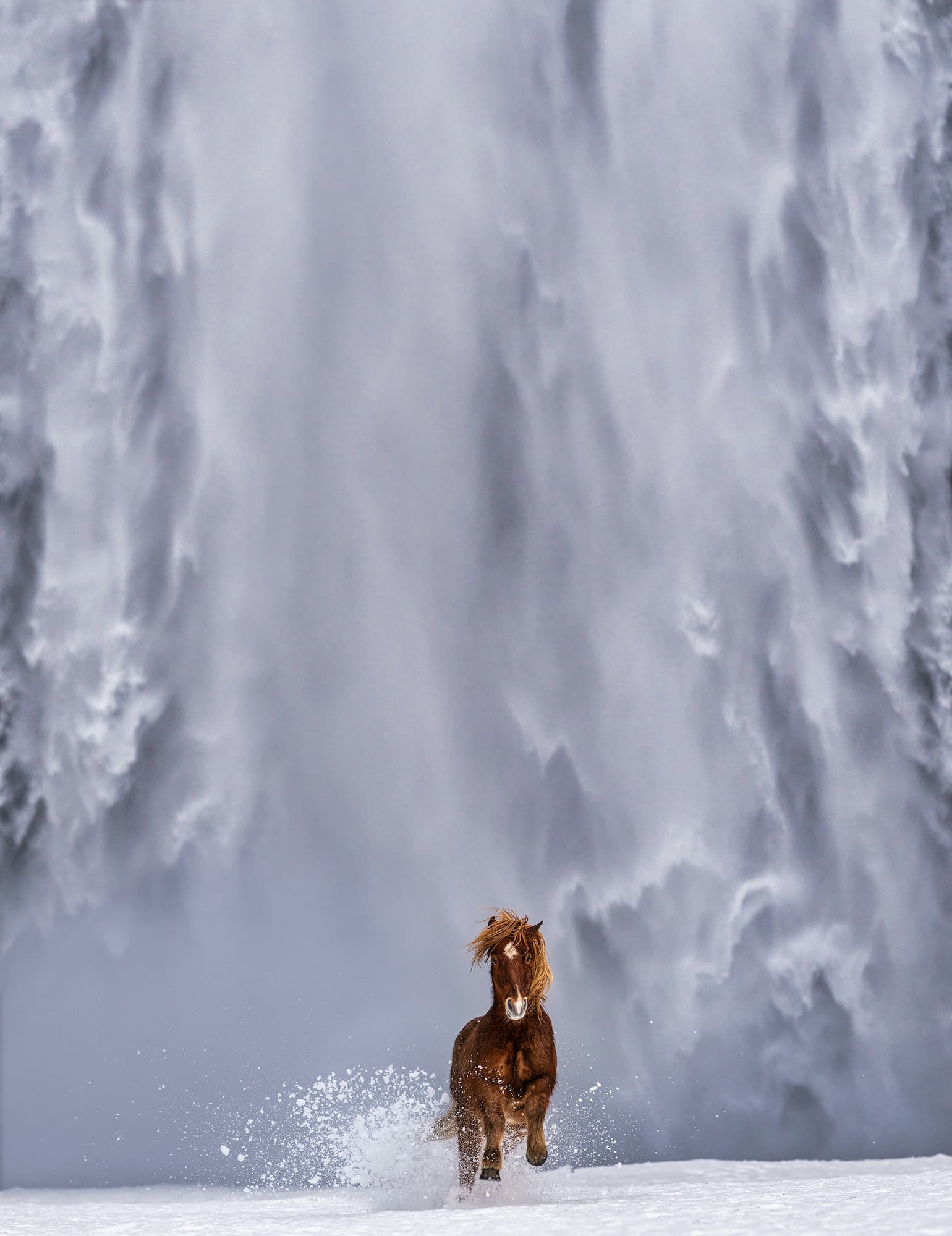 "The Big Chill" by David Yarrow, Skógafoss, Iceland, 2024. Colour photograph.