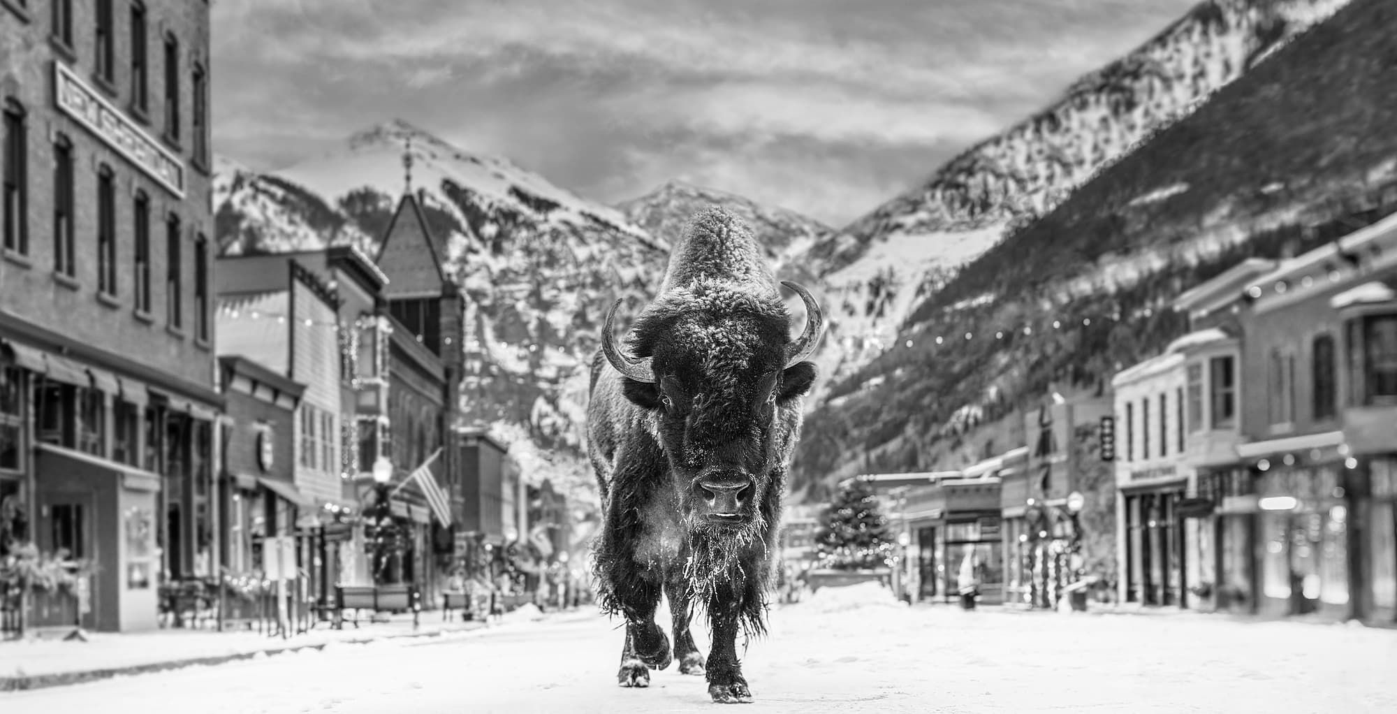 "The Bison on Main II" by David Yarrow, Telluride, Colorado, 2024. Black and white photograph.