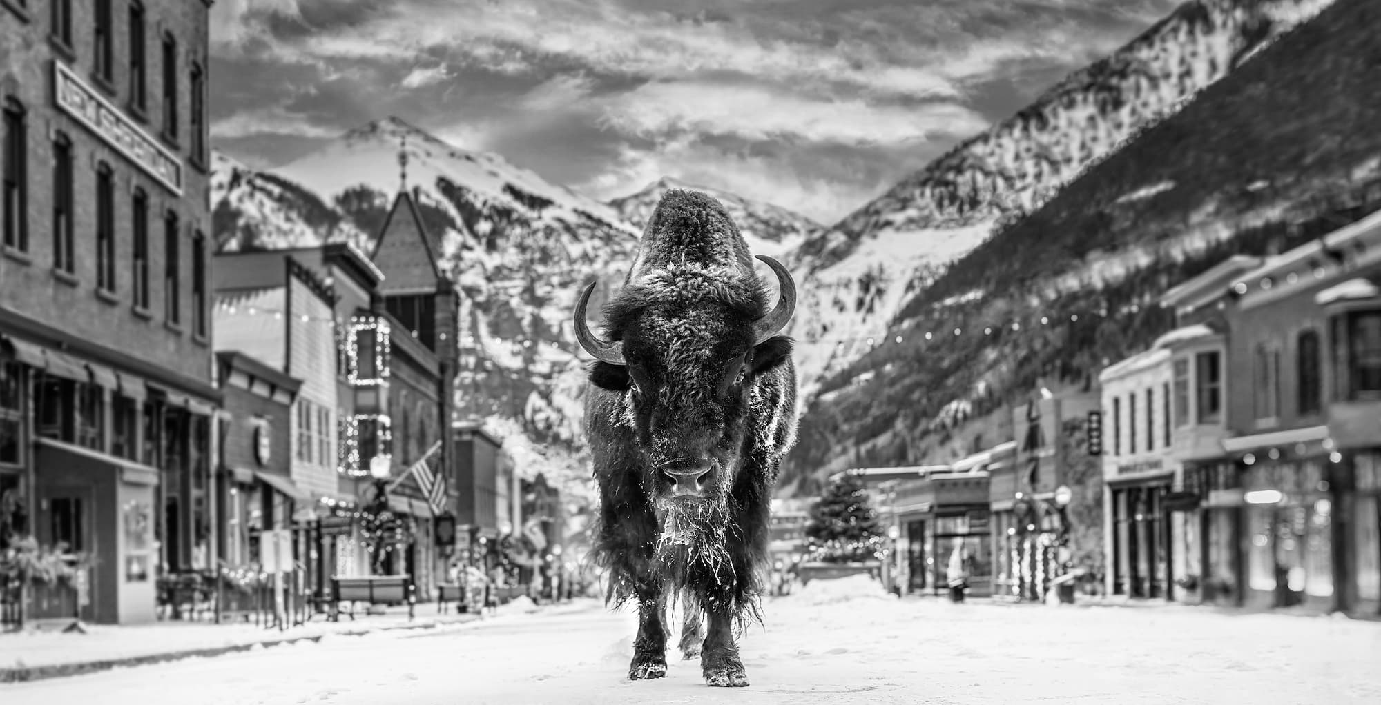 "The Bison on Main" by David Yarrow, Telluride, Colorado, 2024. Black and white photograph.