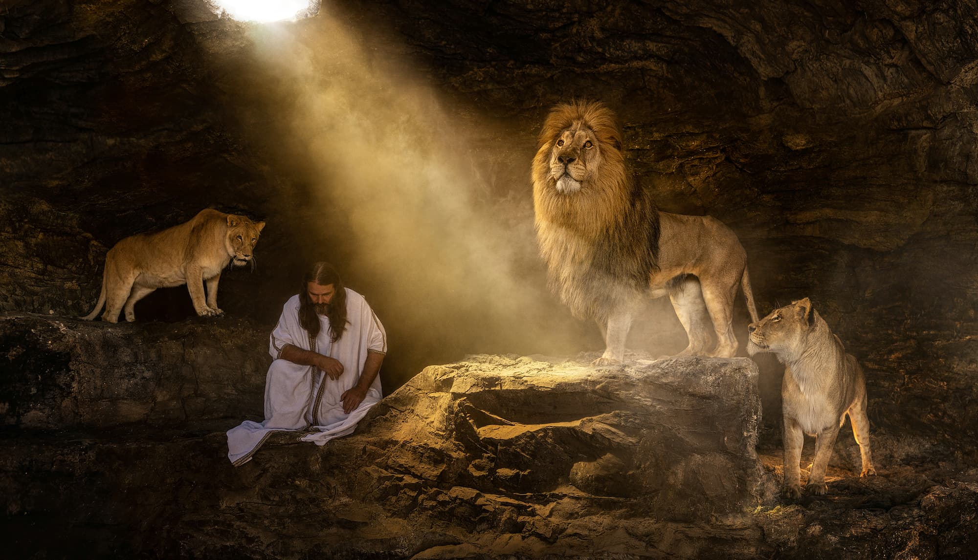 "The Book of Daniel" by David Yarrow, Dinokeng, South Africa, 2022. Colour photograph.
